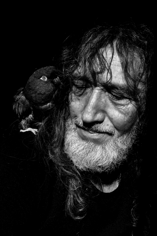 Dad bird. I