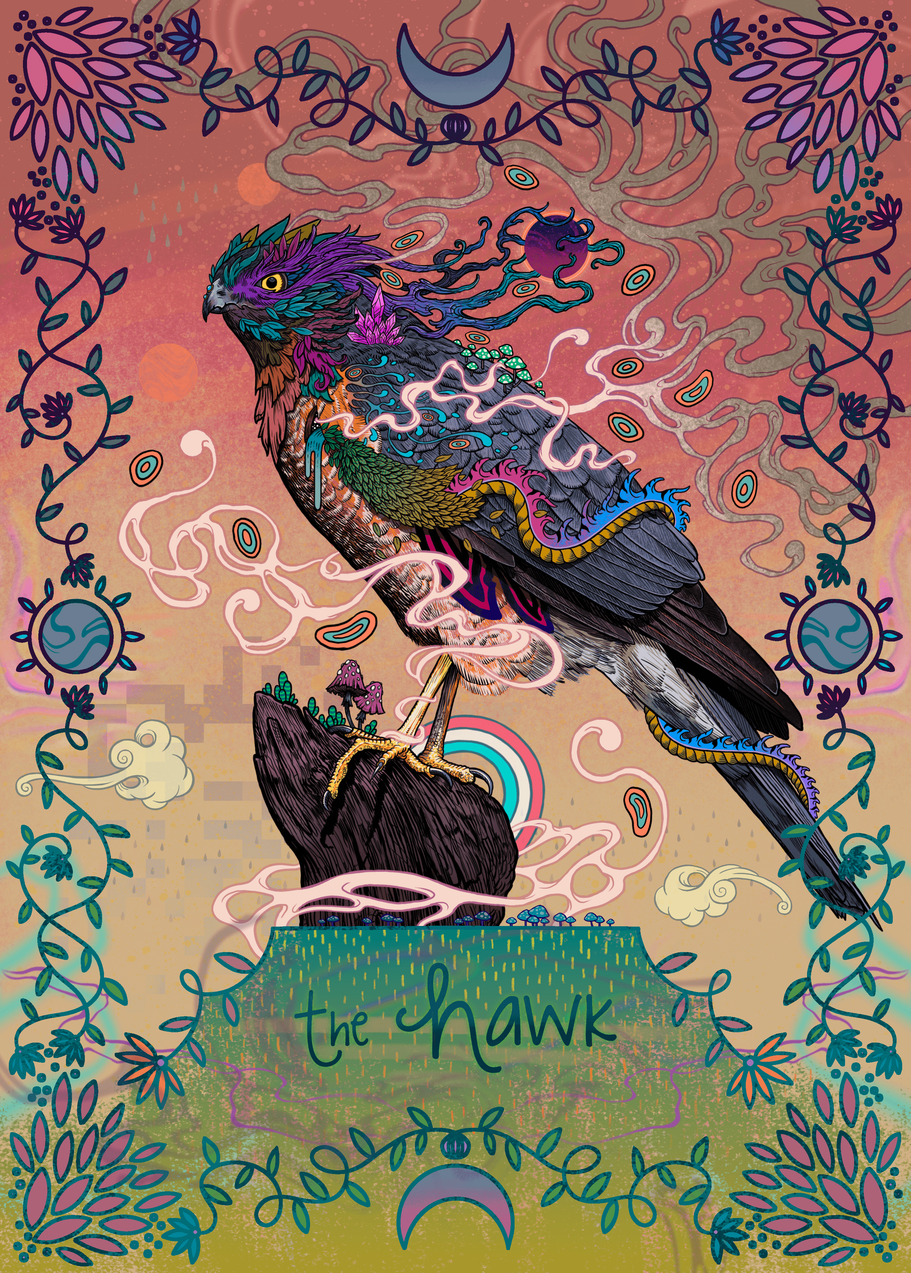 The Hawk #2/12