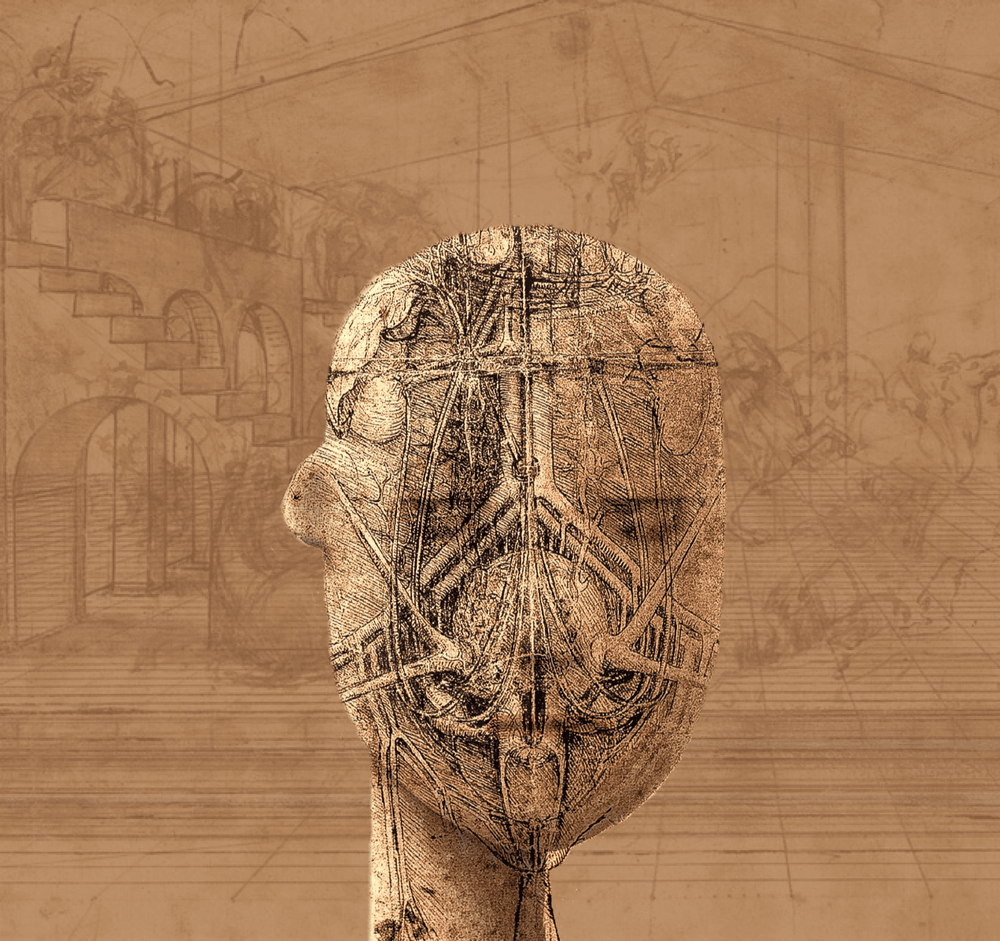 Da Vinci Punk #00 - Da Vinci Punks V3 | OpenSea
