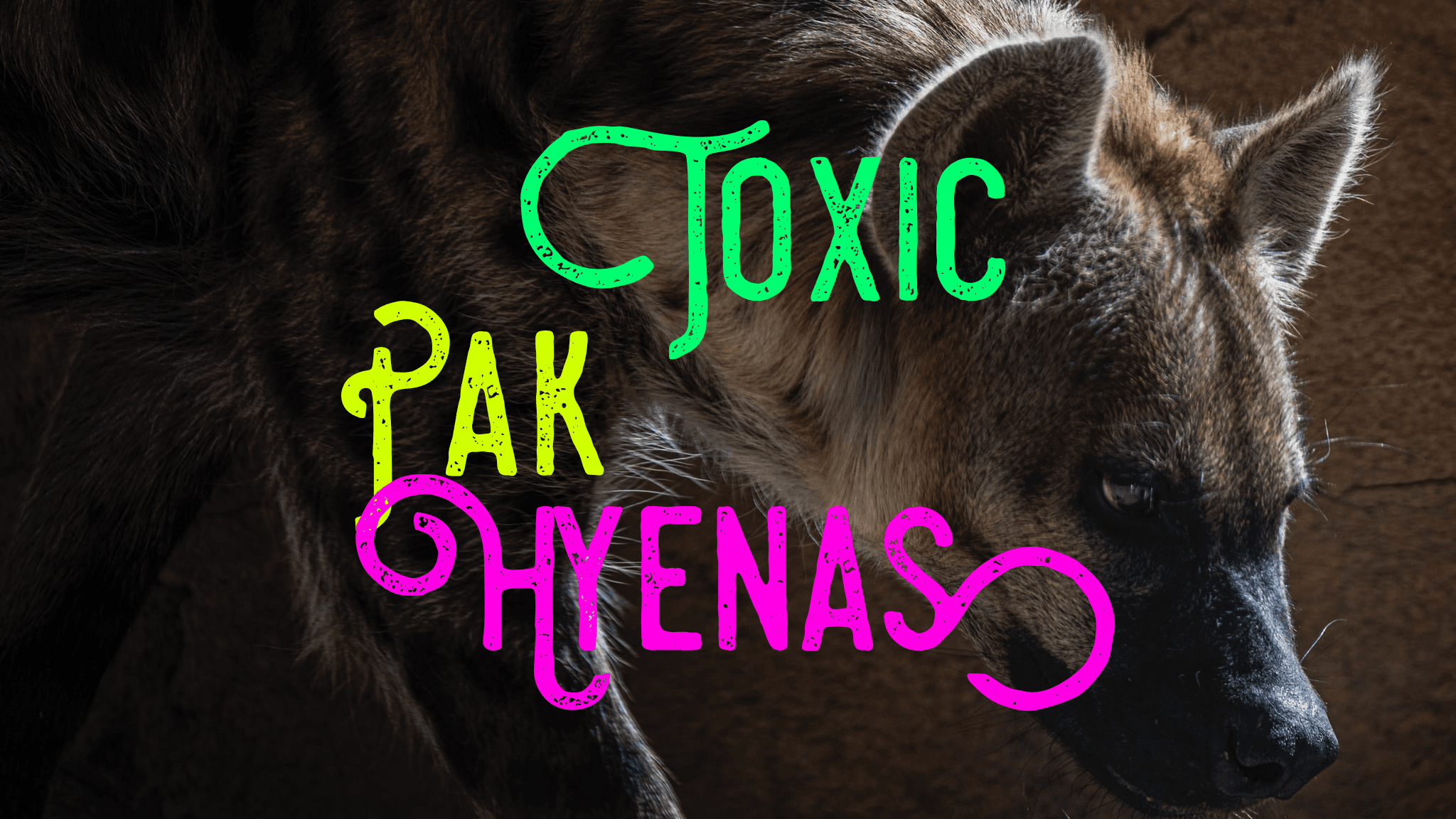 ToxicPakHyenas banner