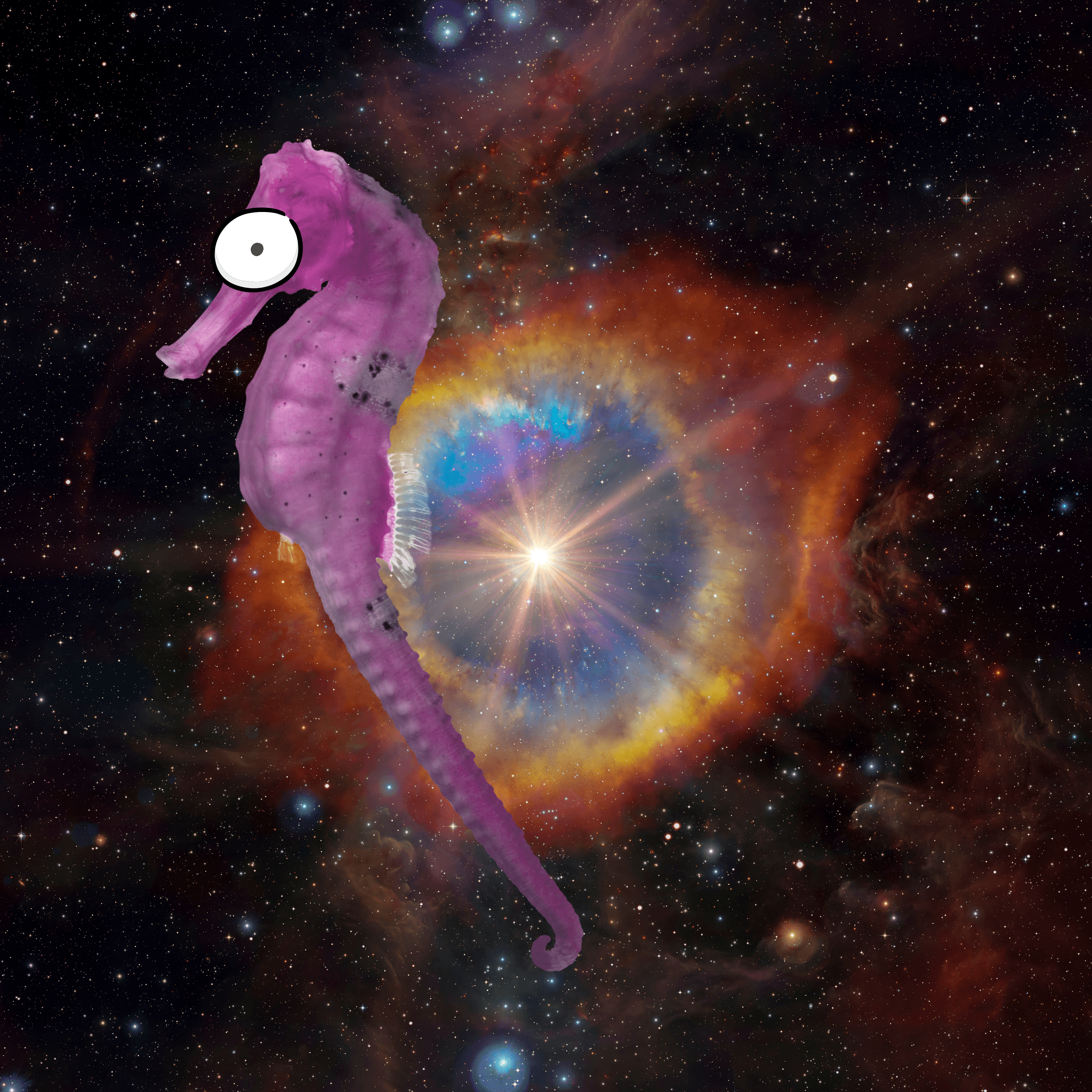 Seahorse in Space XX