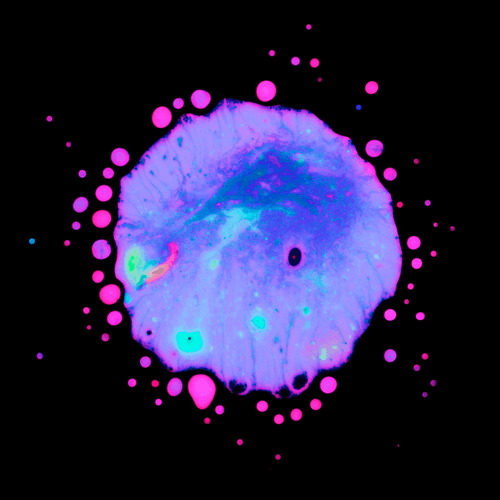 Haematopoiesis #158