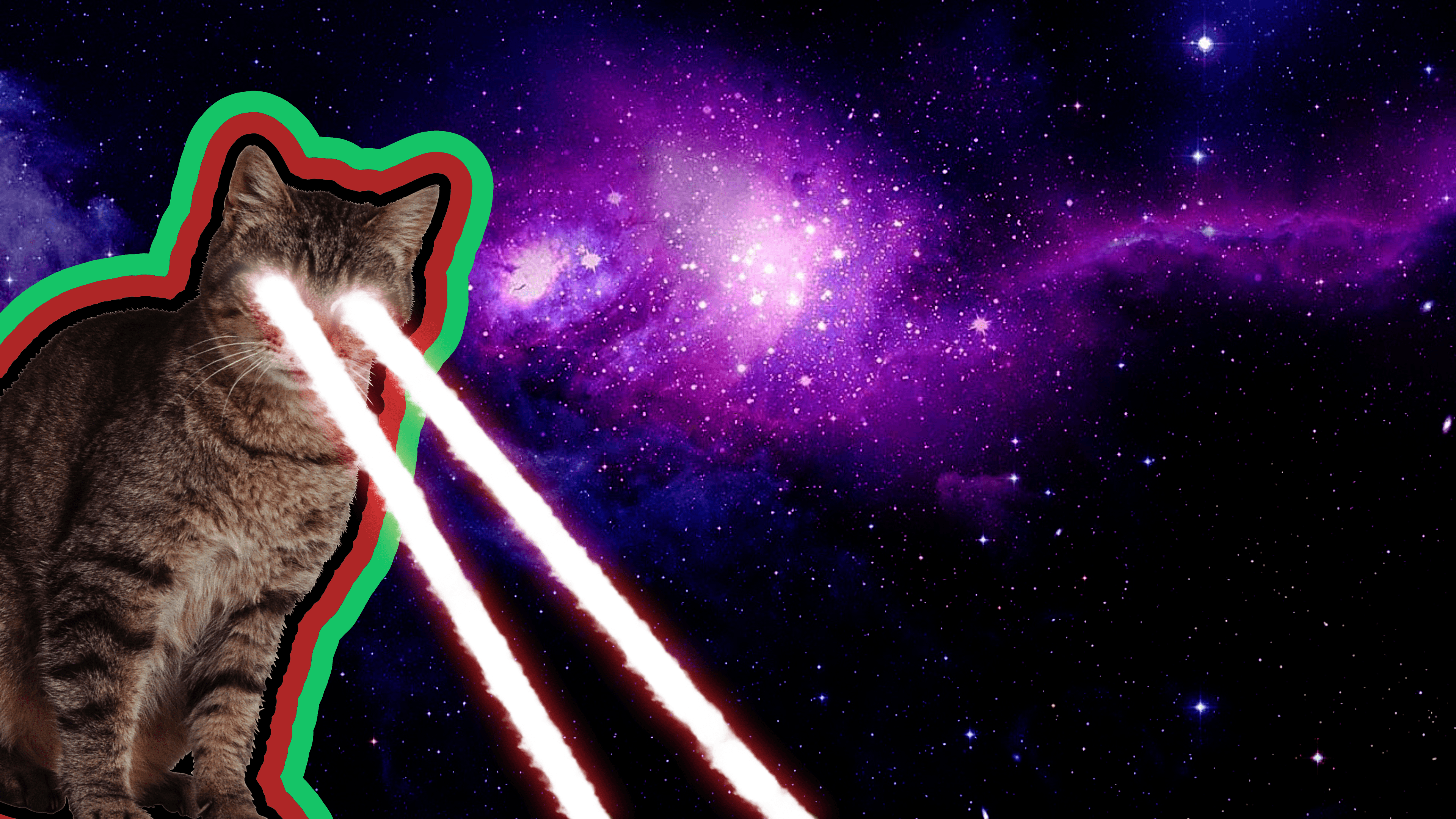 laser cat wallpaper