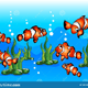 10 Clown Fish of the sea