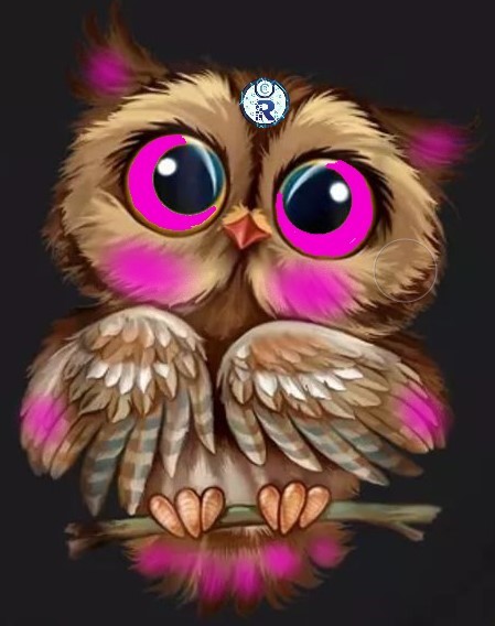 Owl-NFT