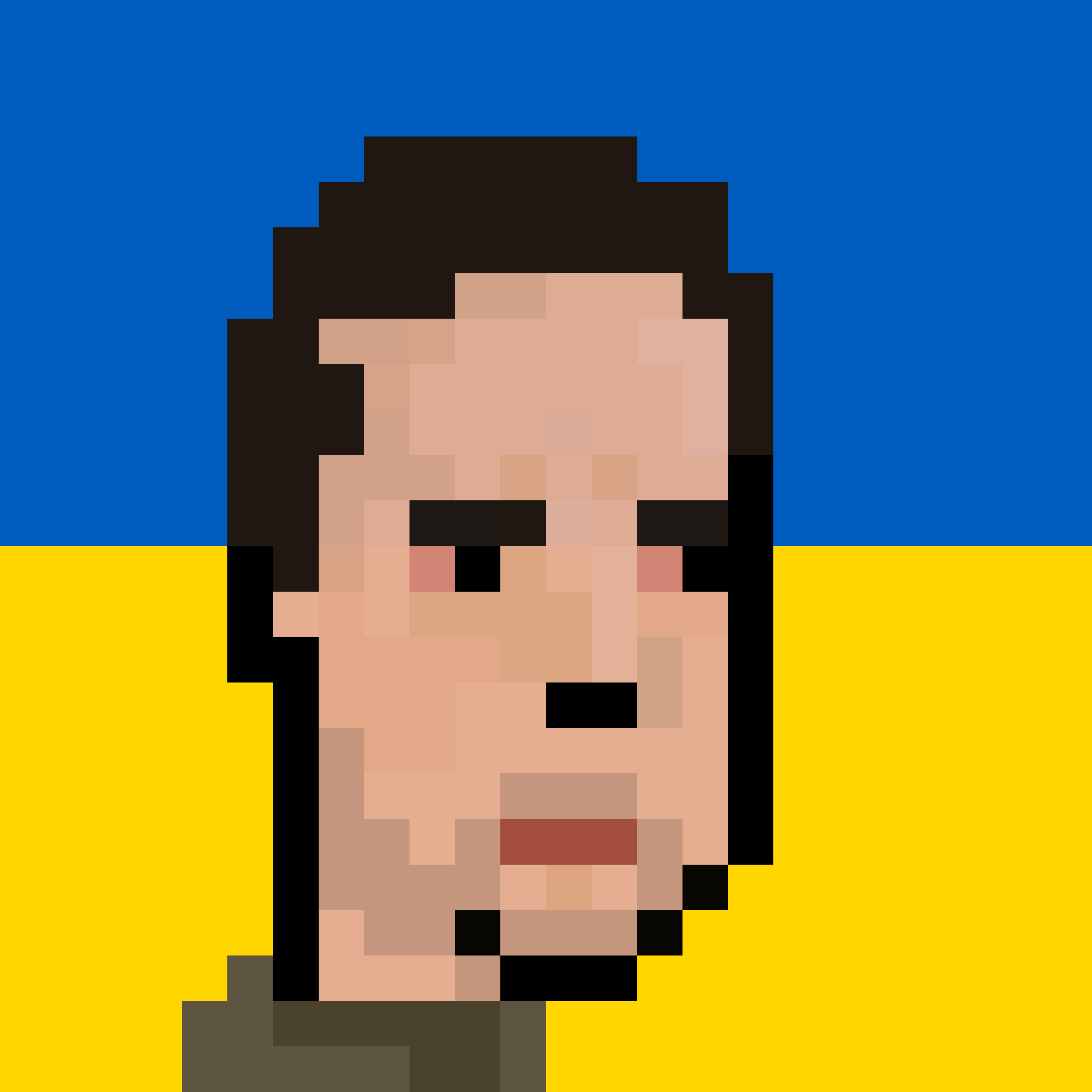 Volodymyr Zelensky Hero For Ukraine - Direct Contribution