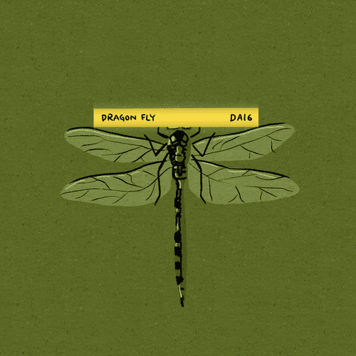 Dragon fly Driew (DA16)