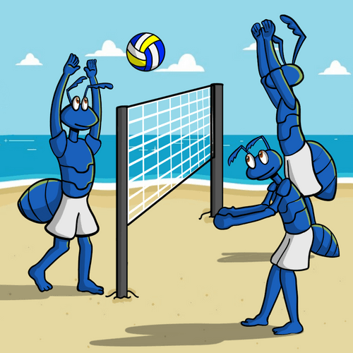 Boris Crypto Blue Ant Volleyball player with friends