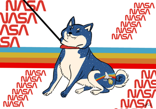 NASA Shiba