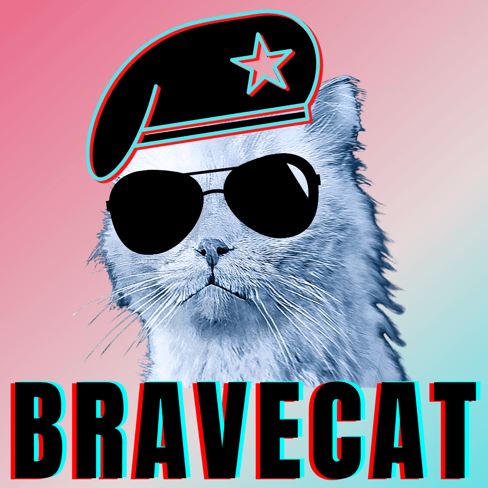 #bluecatmax #4 brave cat