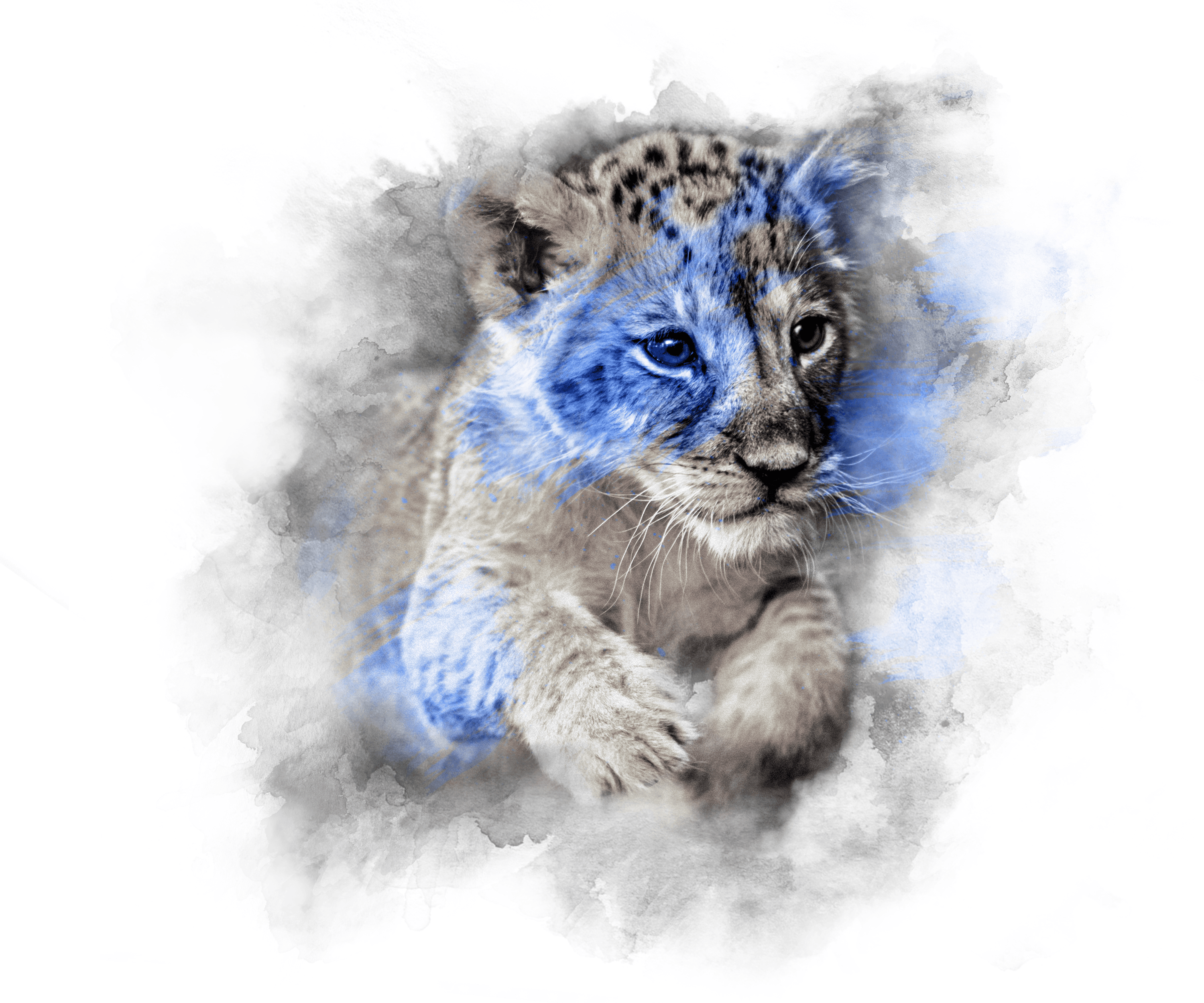 BLUE BABY - LION