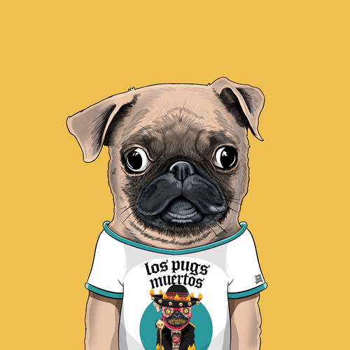 Pug #0127