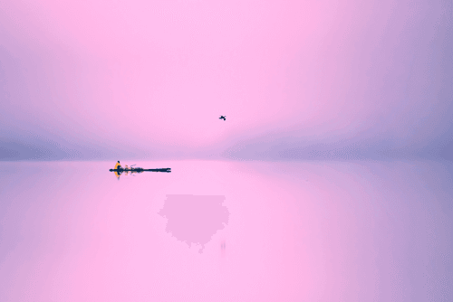 Lone but not alone