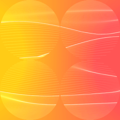 Fluctuation 0170