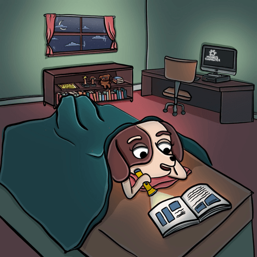 Midnight Reader