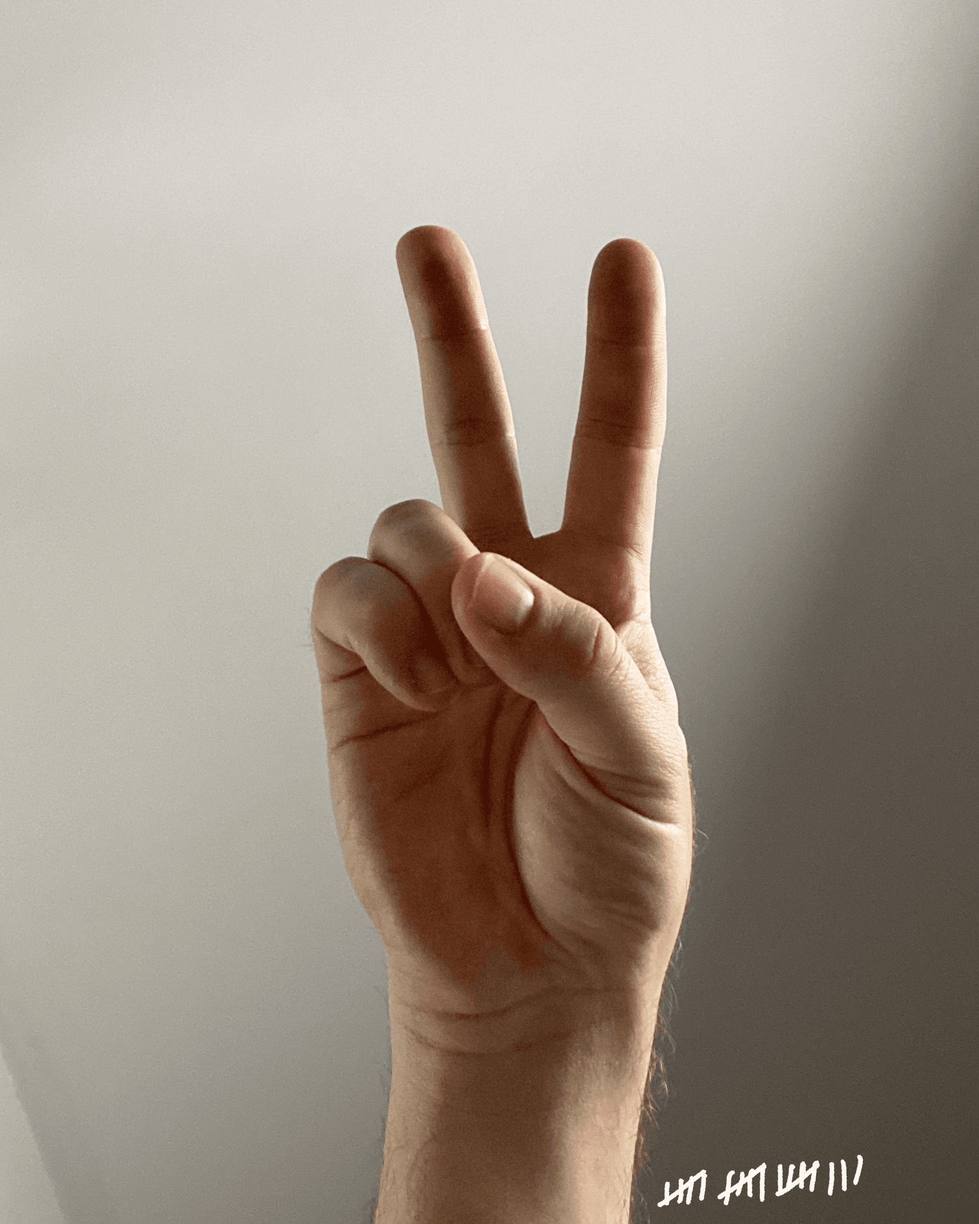 Peace Sign #18
