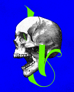 Skoltr, from old Norse. Word meaning: skull. collection image
