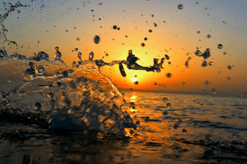 Splash