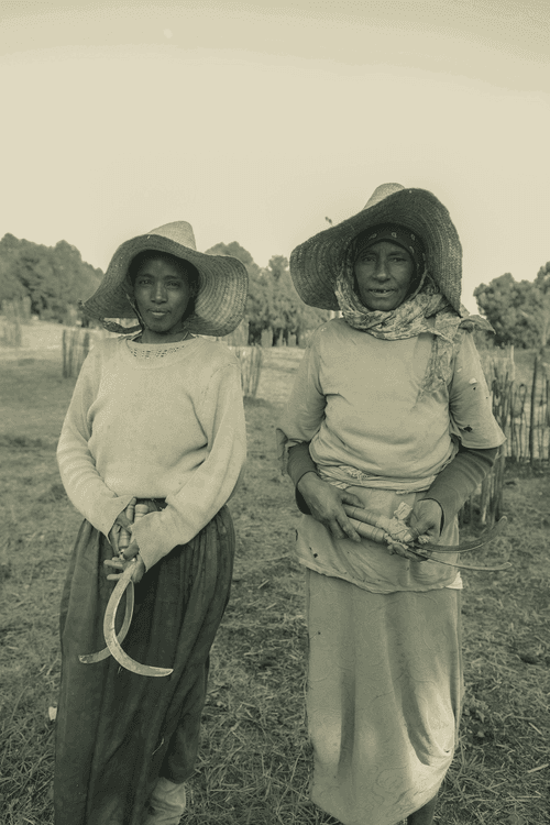 Faces of Ethiopia