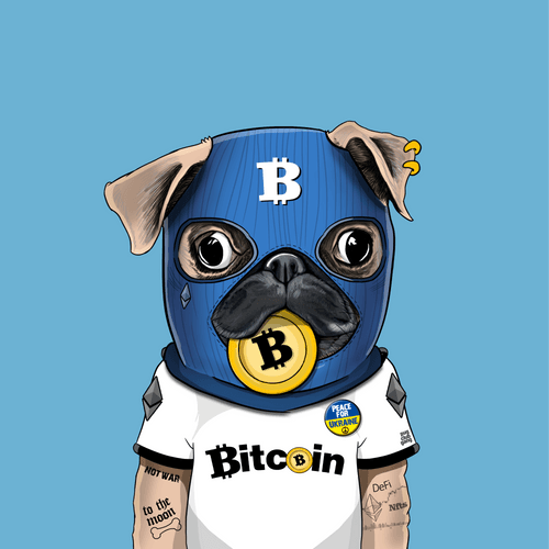Pug #0031