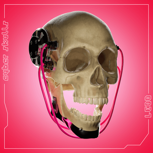 Cyber Skullz #0037