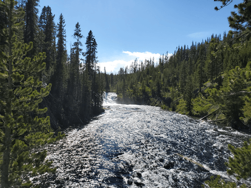 Yellowstone river