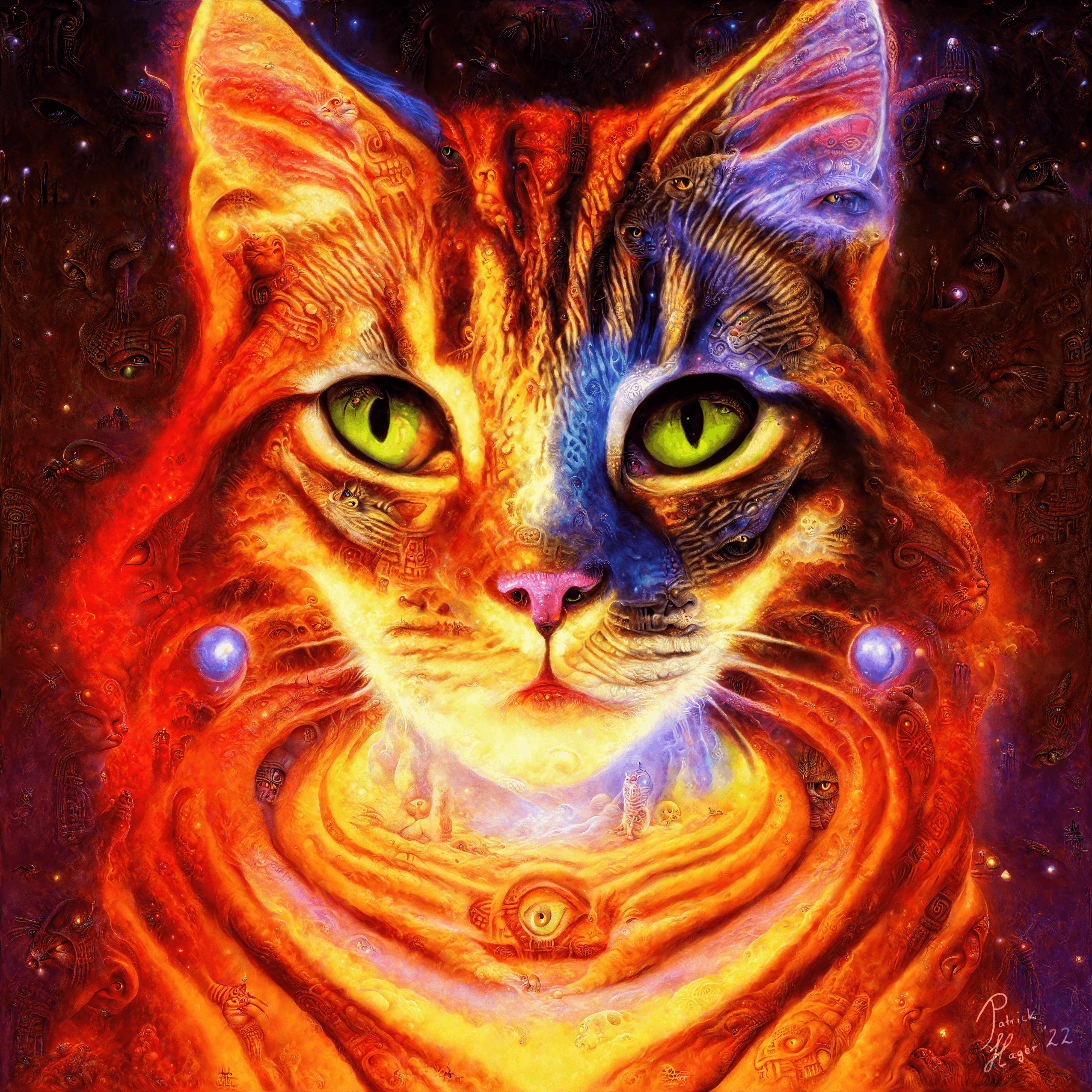 Sissy the Space Cat
