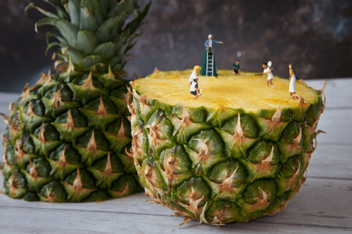 Pineapple Tennis