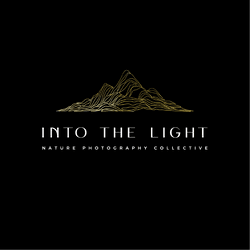 Spectrum by Into the Light collection image
