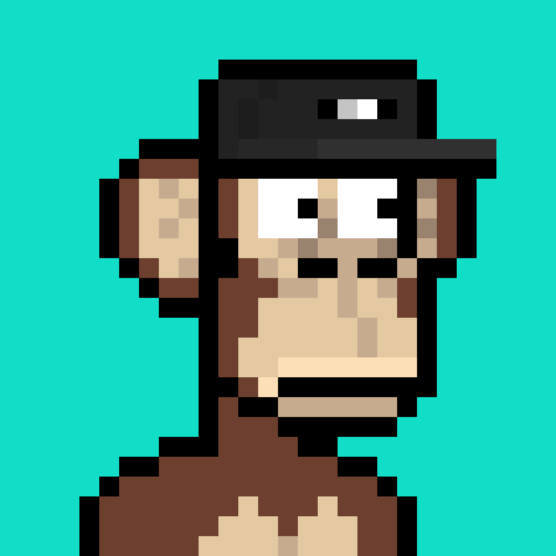PixelApe 6790