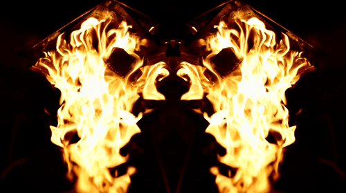 Phoenix #005