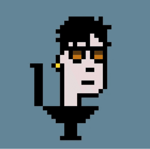Cryptoilet Punks #31
