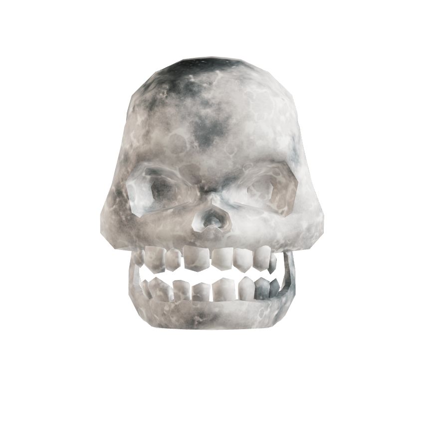Skull #205