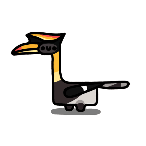 Long long Hornbill