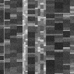 structured-noise collection image