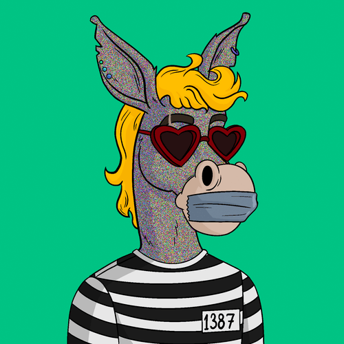 Criminal Donkey 9837