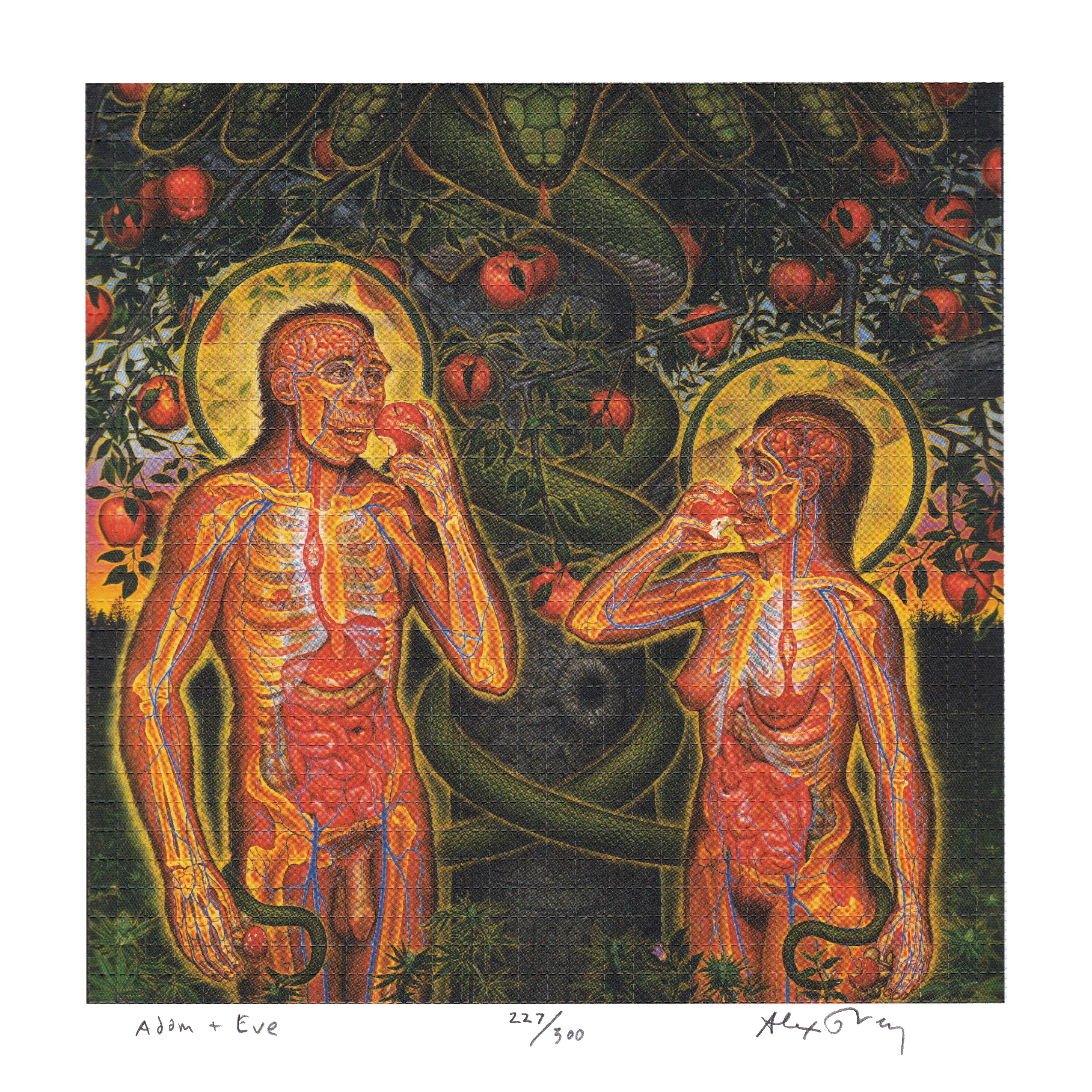 Adam & Eve by Alex Grey as LSD Blotter Art #227/300