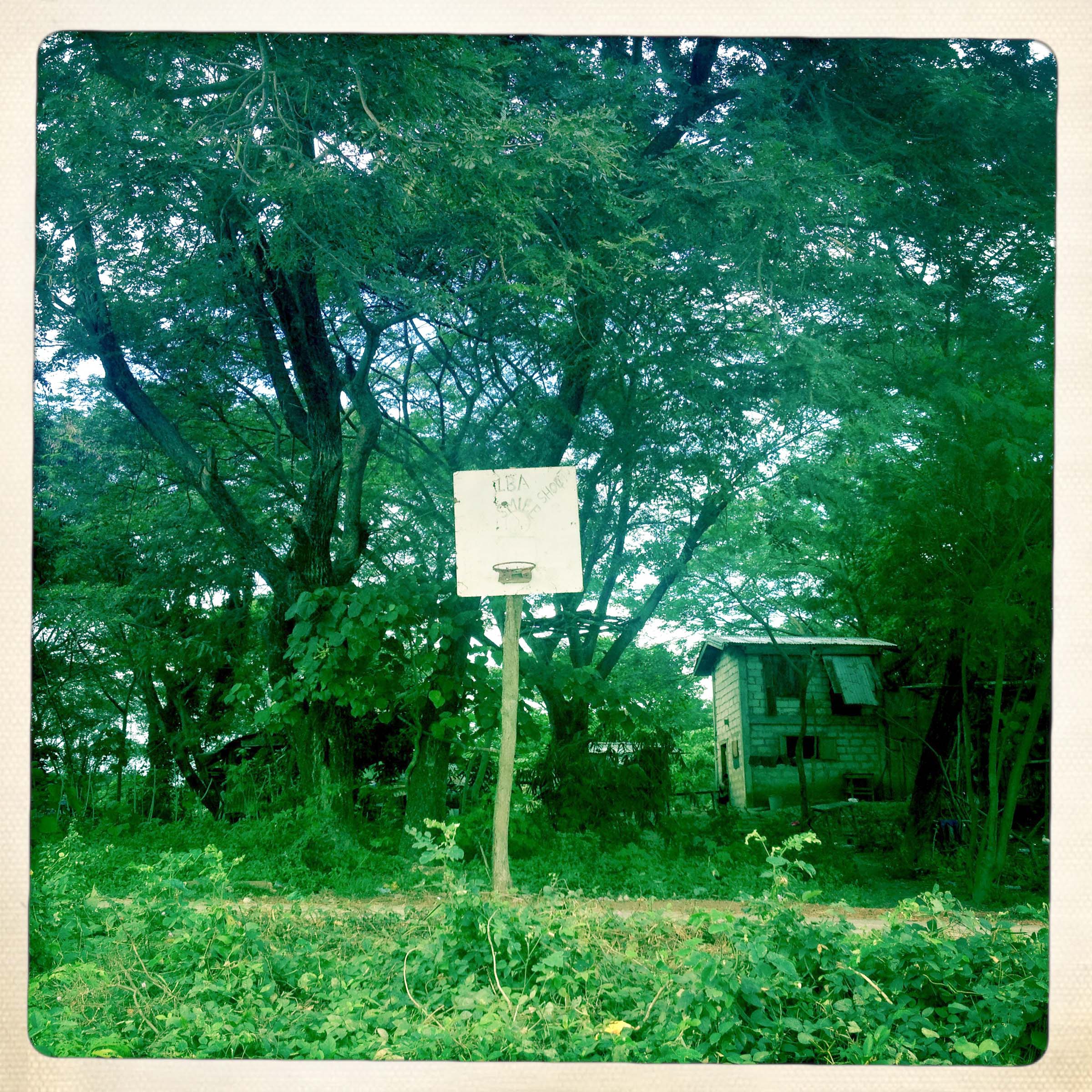 Basketball Landscape #20
