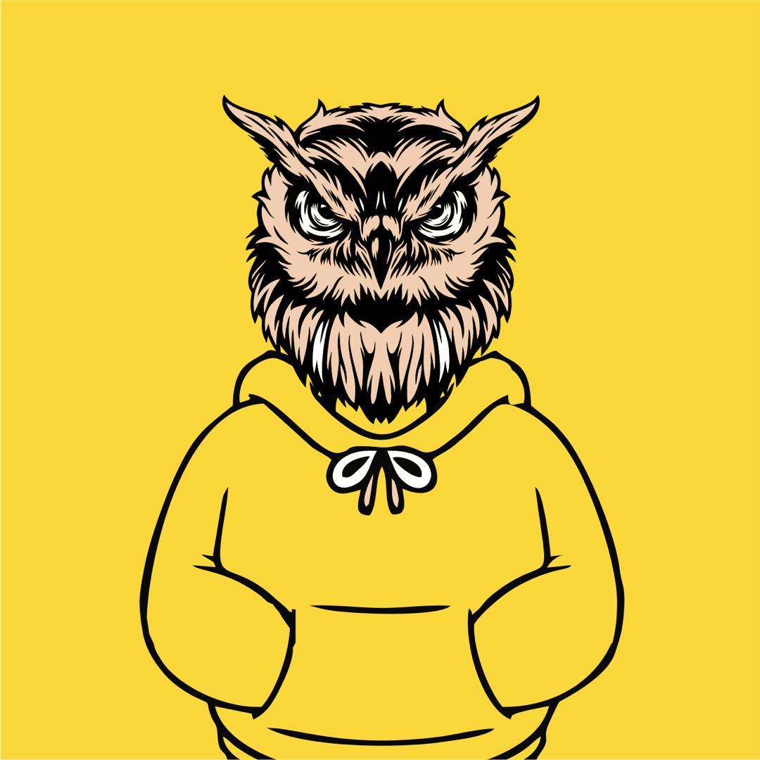 Oracle owl Collection OpenSea