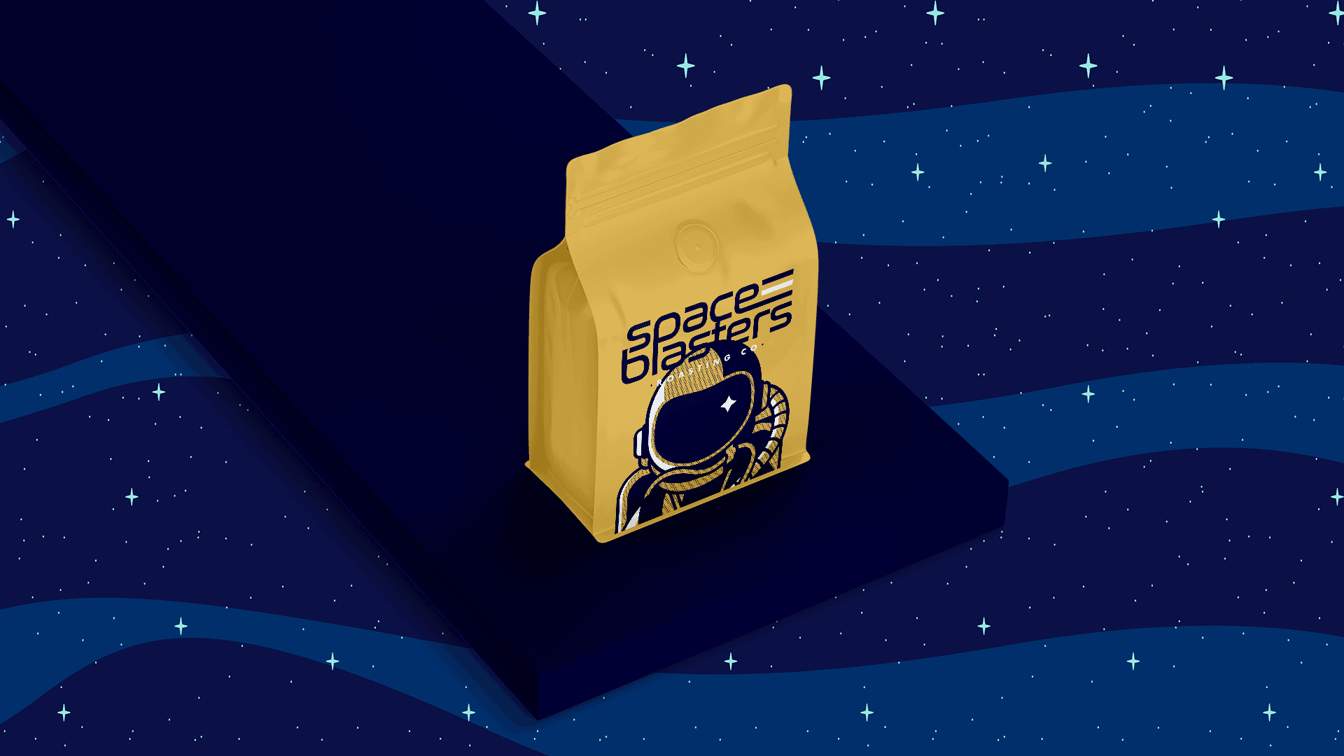 Space Bag 1