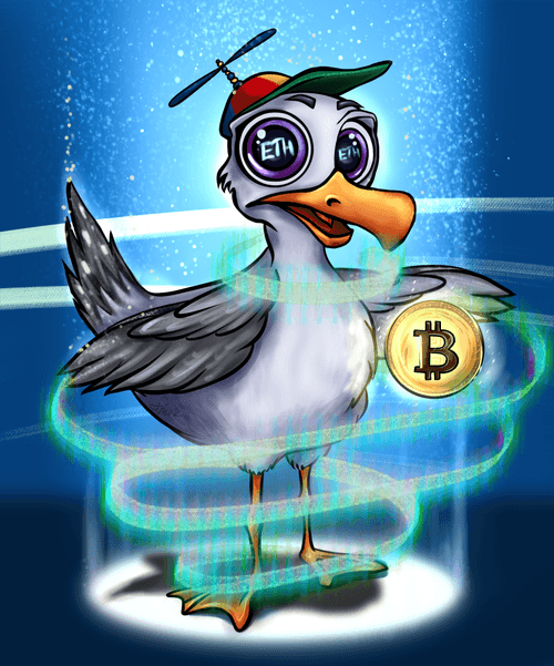 Seagull MIGGL 9