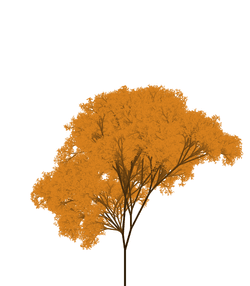 Autumn-Spring Fractal Trees collection image