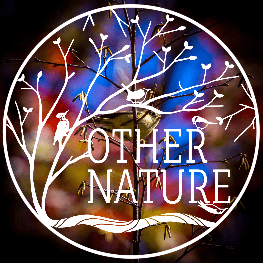 Other Nature: Pixecology
