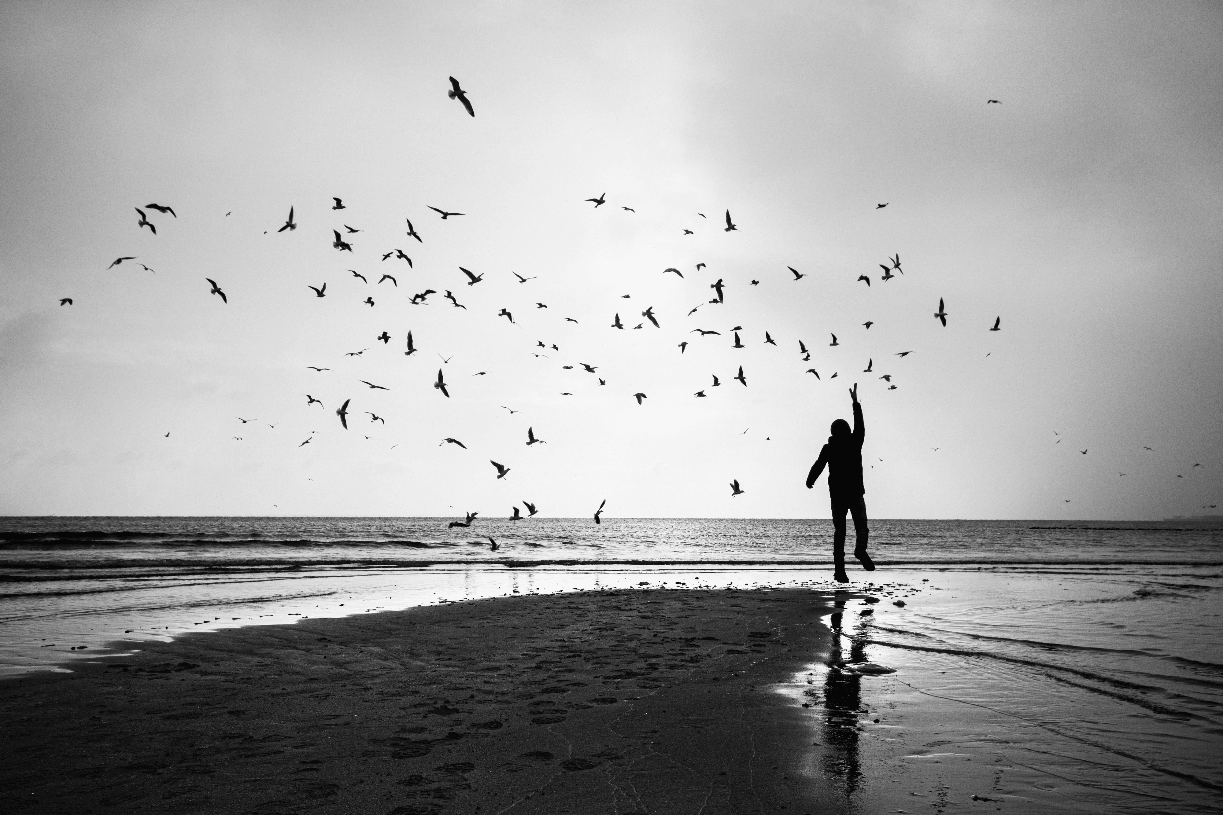 FREEDOM