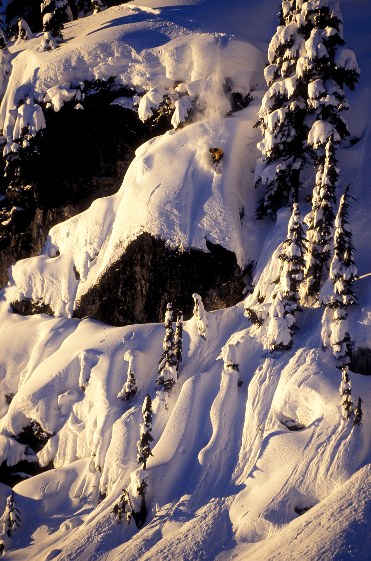 Sean Johnson threads the needle in the Whistler Backcountry