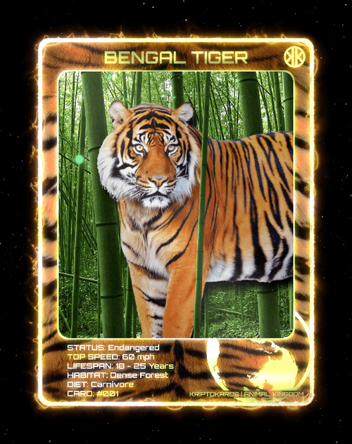 Bengal Tiger Card | #001 | Animal Kingdom