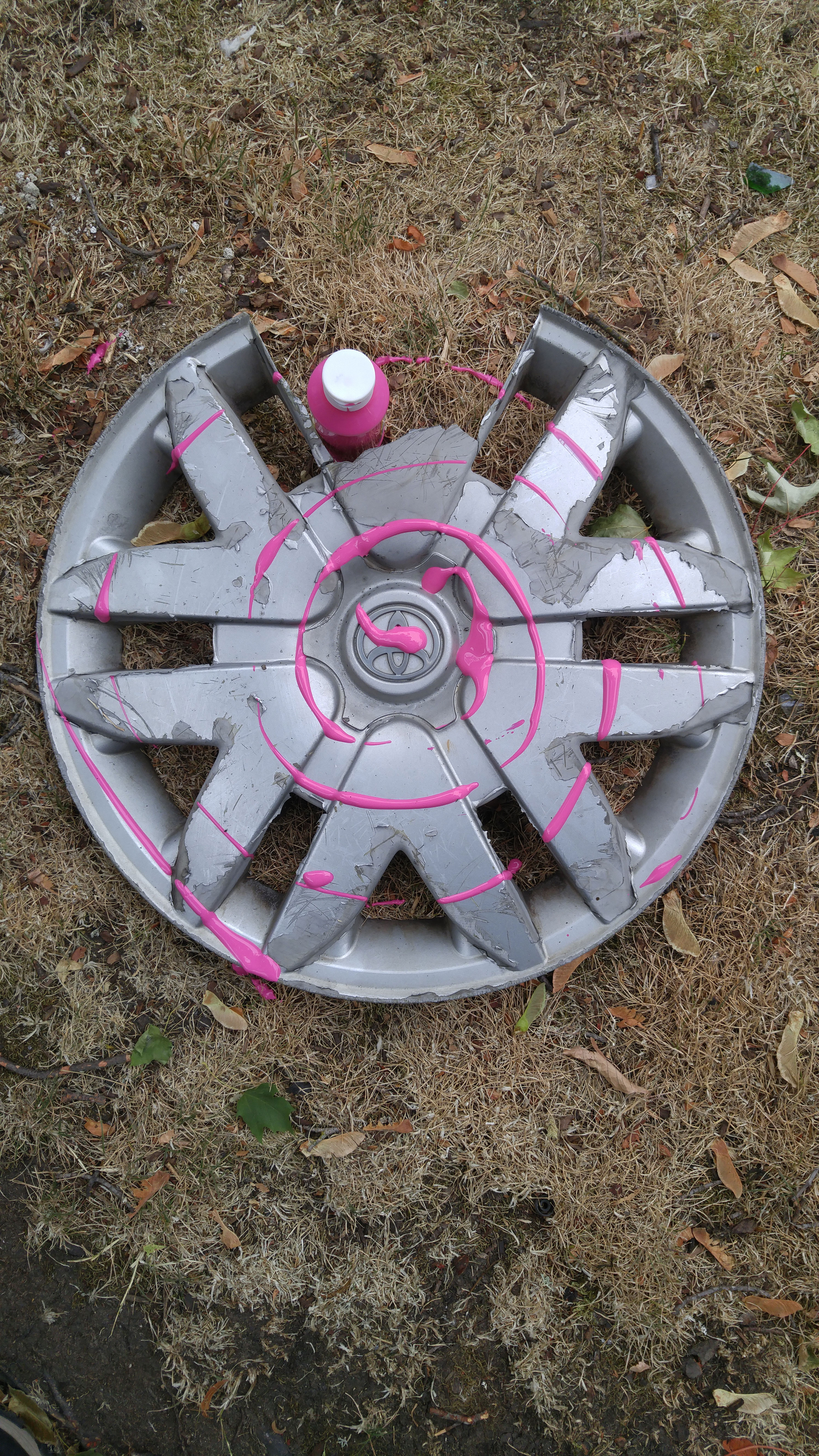 Painted Stray Hubcap