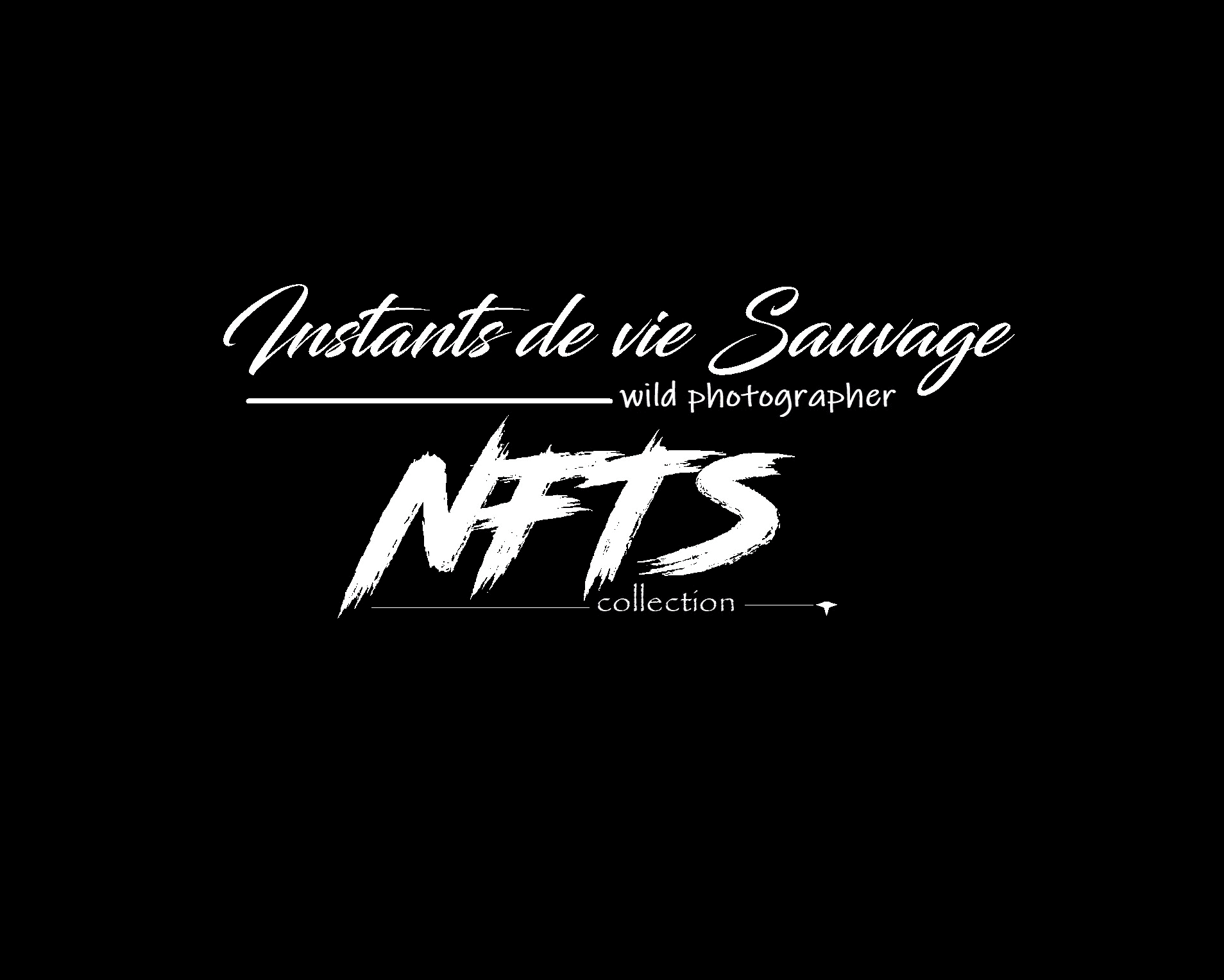 Instants_de_vie_sauvage