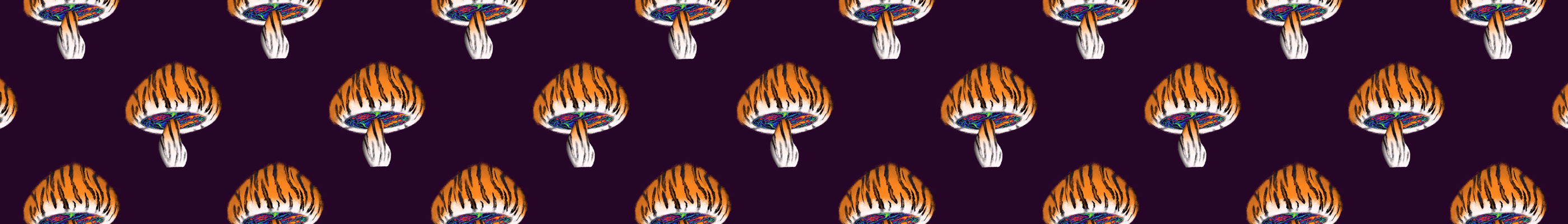 iFungiClub