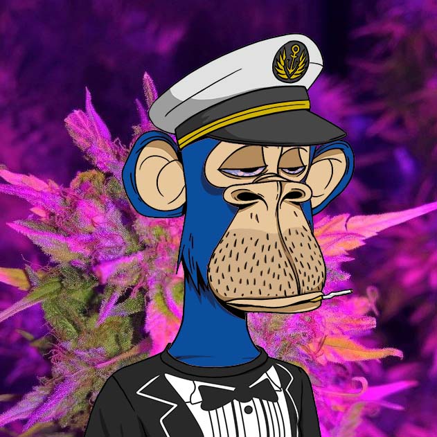 Stoned Ape Yacht Club 074